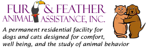 A permanent residential facility for dogs and cats, designed for comfort, well being, and the study of animal behavior.